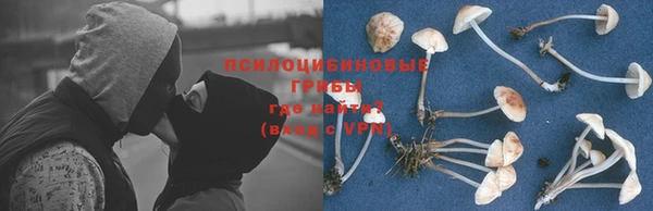 кокс Приозерск