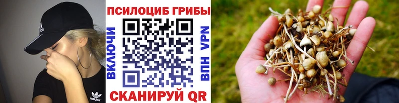 блэк спрут ONION  Артёмовск  Галлюциногенные грибы MAGIC MUSHROOMS  что такое наркотик 